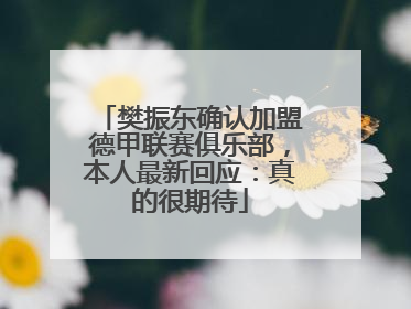 樊振东确认加盟德甲联赛俱乐部，本人最新回应：真的很期待